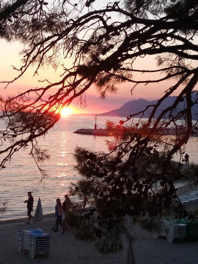 Villa Bandic Baška Voda المظهر الخارجي الصورة